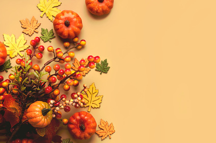 Autumn concept background, a Background Photo by esthermm