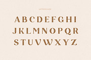 Touch | Serif Font, a Serif Font by AngelinaKovel (Thumbnail 6 of 11)