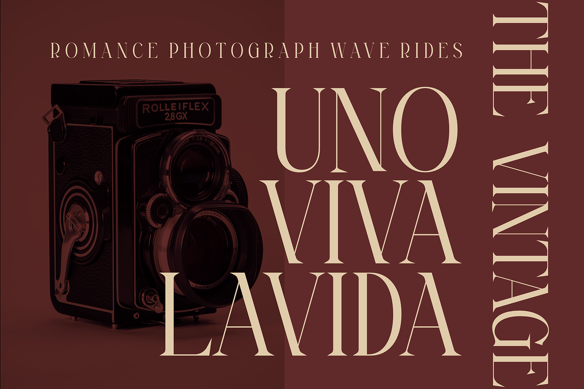 Magfire Hyena Modern Serif Font, a Serif Font by Storytype Studio (Photo 4 of 15)