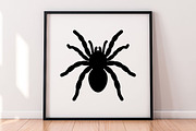 Tarantula Silhouette SVG, an Animal Illustration by newminddesign (Thumbnail 9 of 10)