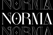 Merdeka Mahardika - Logo Serif Font, a Serif Font by Nirmana Visual (Thumbnail 2 of 8)