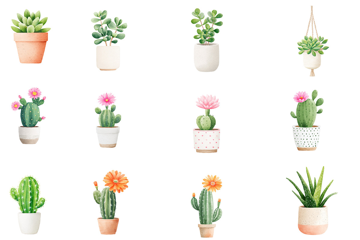 Watercolor succulent cactus clipart, an Illustration by Designworld (Photo 4 of 5)