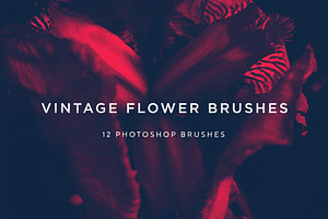 Vintage Flower Brushes