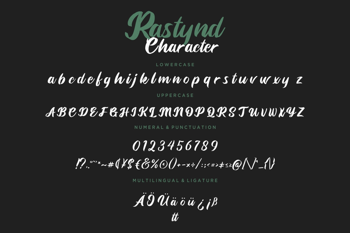 Rastynd Script Bold Business Font preview 7