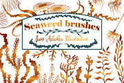Seaweed pattern brushes for AI, a Brush Add-On by SHMEL_Studio (Thumbnail 1 of 6)
