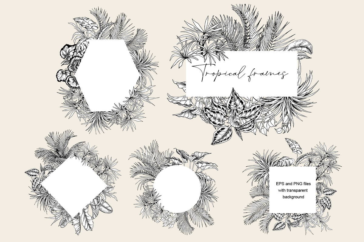 Tropical black& white plants, a Decorative Illustration by Jeanna Draw (Photo 11 of 19)
