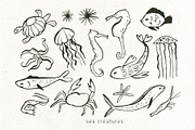 INKED SEALIFE hand drawn vector set, an Animal Illustration by Lena Nikolaeva (Thumbnail 5 of 11)