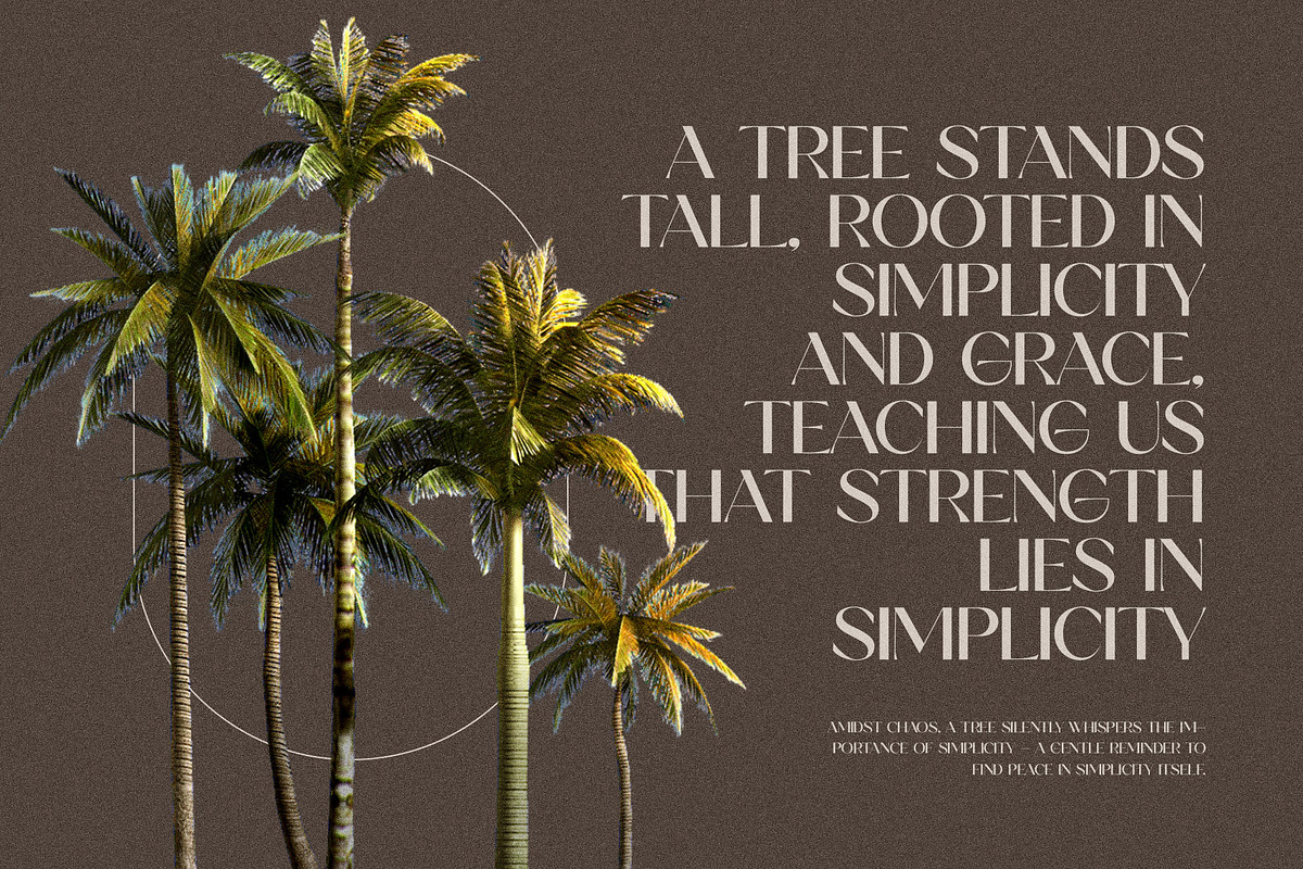 Murow Elegant Serif Font Typeface, a Serif Font by Perfectype (Photo 2 of 10)