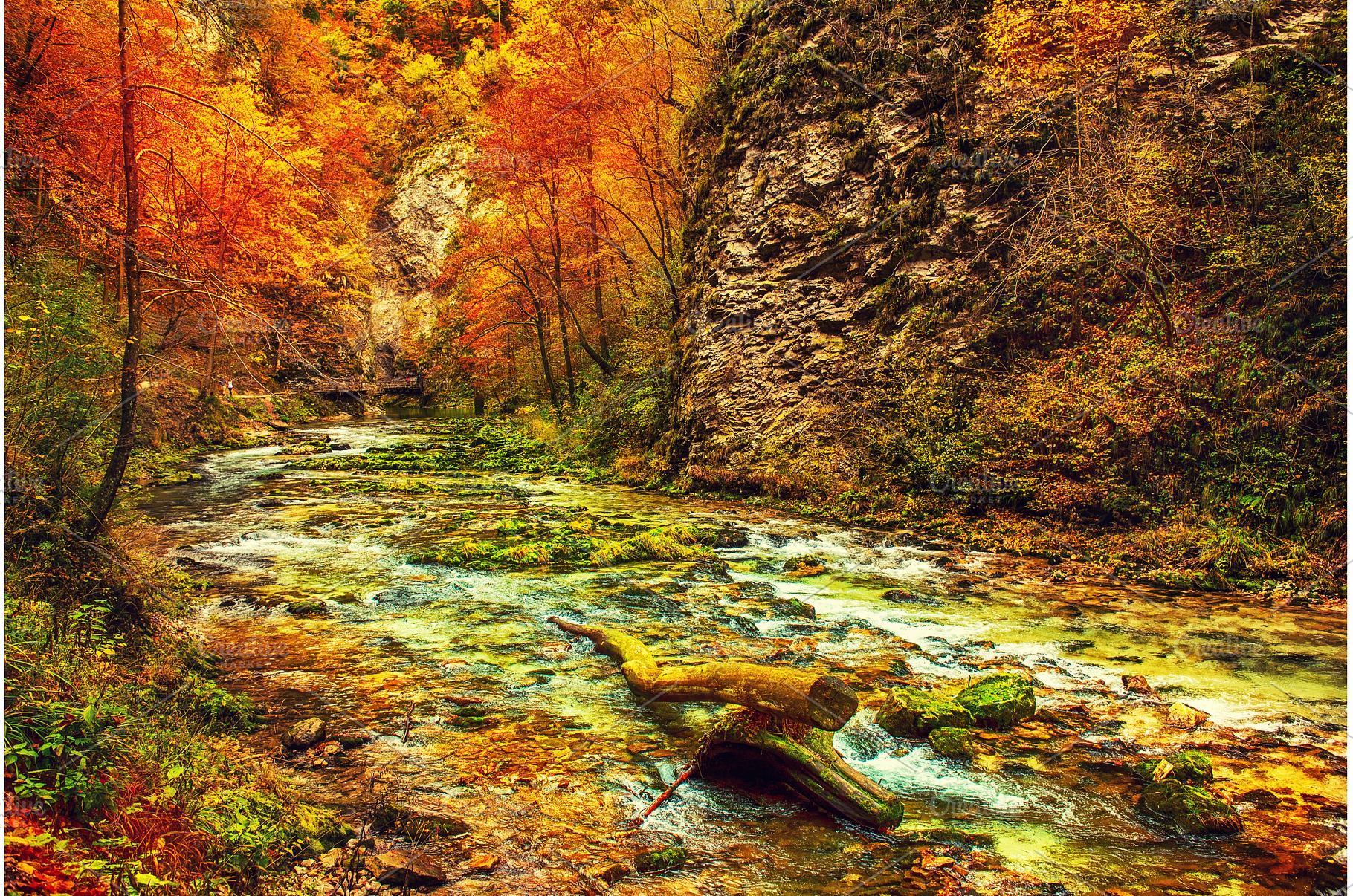 Vintgar gorge, Slovenia, a Nature Photo by Nature and travel