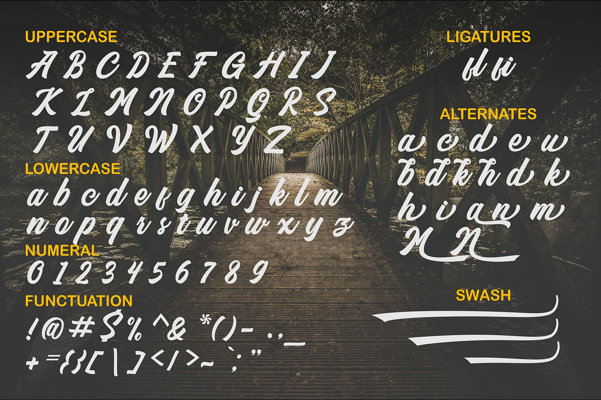 Monamour Brush Script, a Script Font by Aldiwangsadipa (Photo 4 of 9)