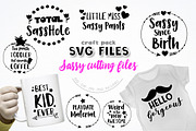 AMAZING SVG AND GRAPHIC BUNDLE, an Illustration by PrettyBundles (Thumbnail 10 of 38)