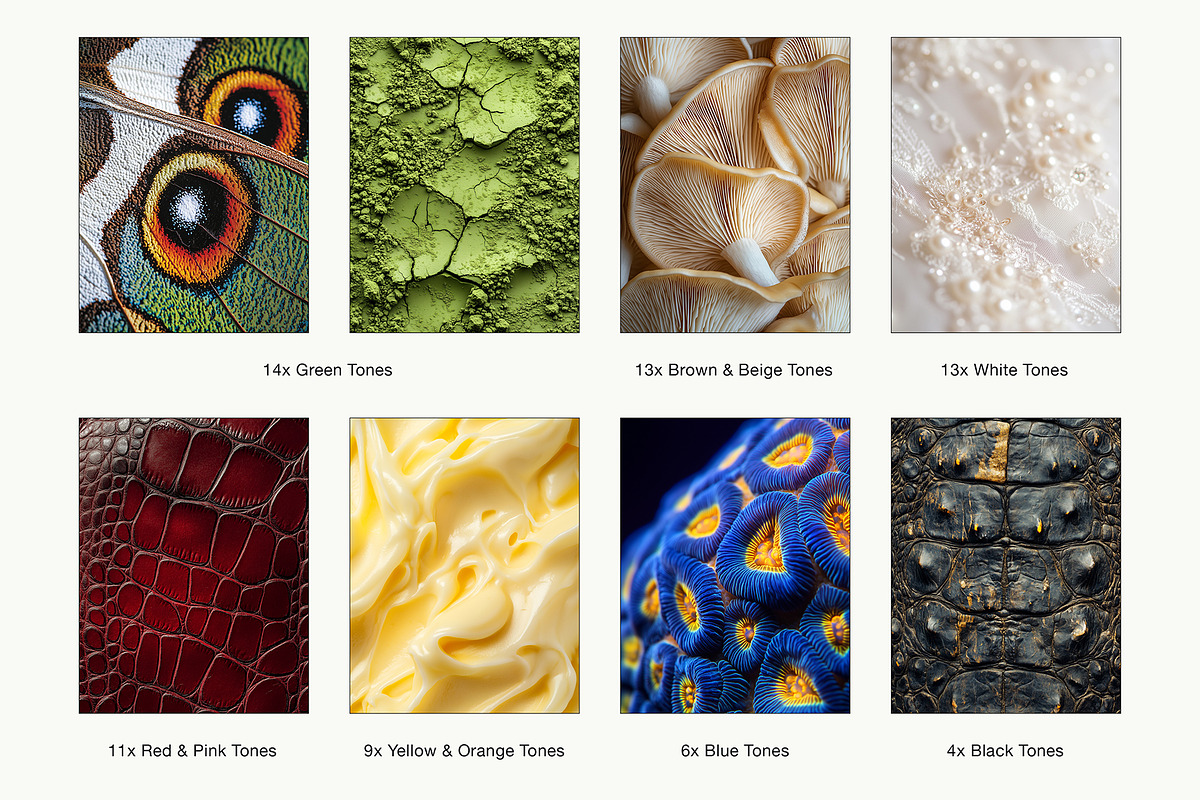 70 Minimalist Texture | Stock Images, a Nature Photo by Vermeulen Design Studio (Photo 4 of 5)