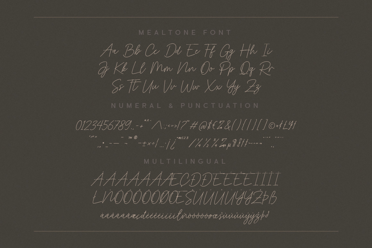 Mealtone Signature Script Font, a Script Font by Typebae (Photo 8 of 8)