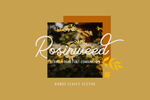 Rosinweed Font Bonus Leaves