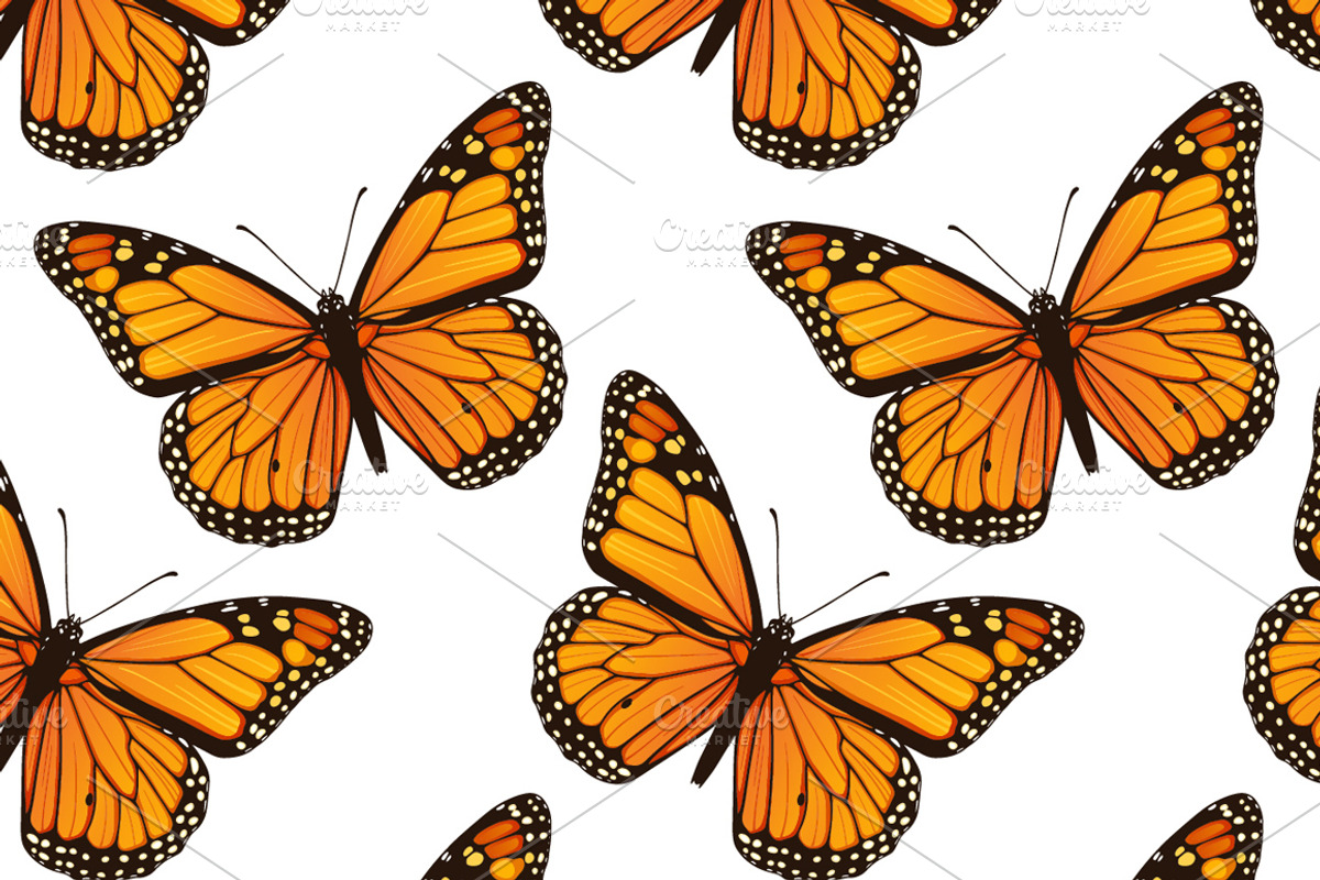Butterflies patterns+illustrations, an Illustration by IreneArt illustrations (Photo 2 of 5)