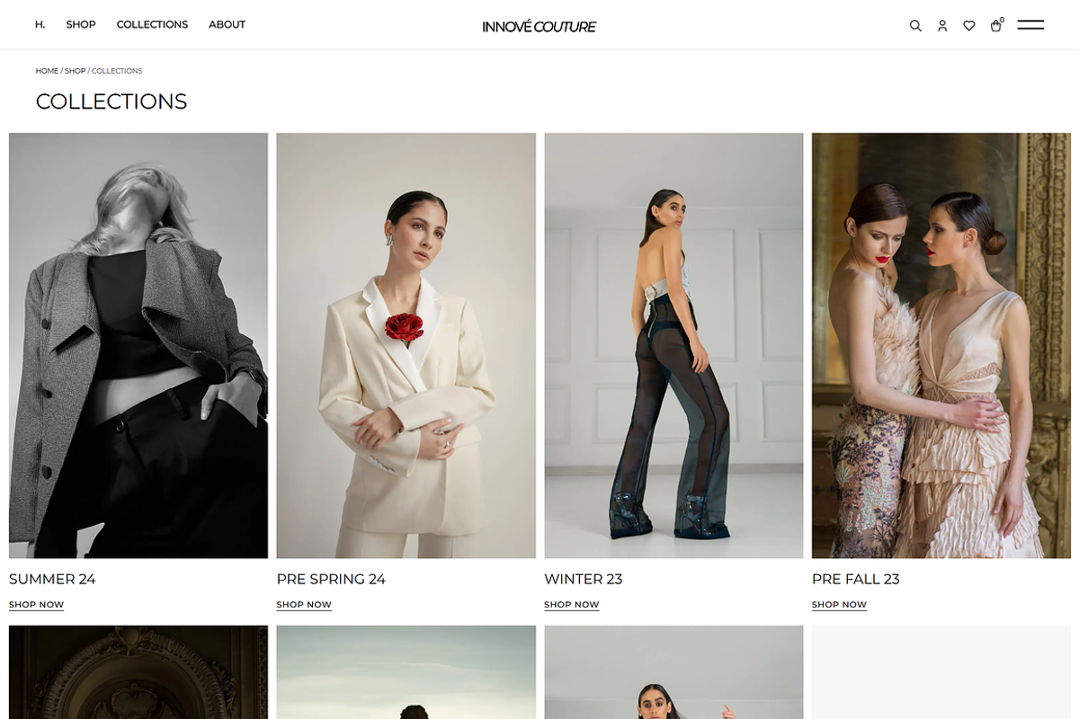 Fashion Clothing Ecommerce Shop, a WordPress Template by MasterDesigns (Photo 5 of 9)