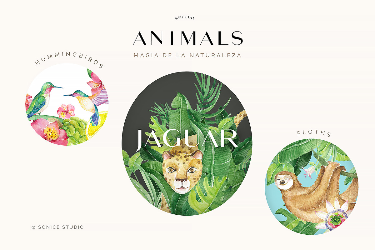 PURA magia de la naturaleza, an Illustration by SoNice (Photo 8 of 12)