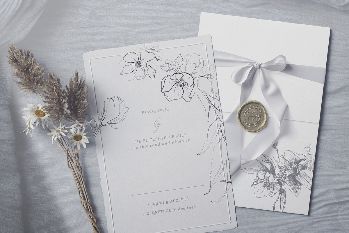 Botanical Line Art Collection, an Object Illustration by Colden Blue (Photo 7 of 10)