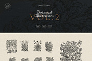 Vintage Bundle - 6600+ Illustrations, an Animal Illustration by Nomad Visuals (Thumbnail 37 of 45)