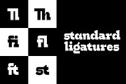 HN Cito, a Slab Serif Font by Hora Nocte (Thumbnail 3 of 12)