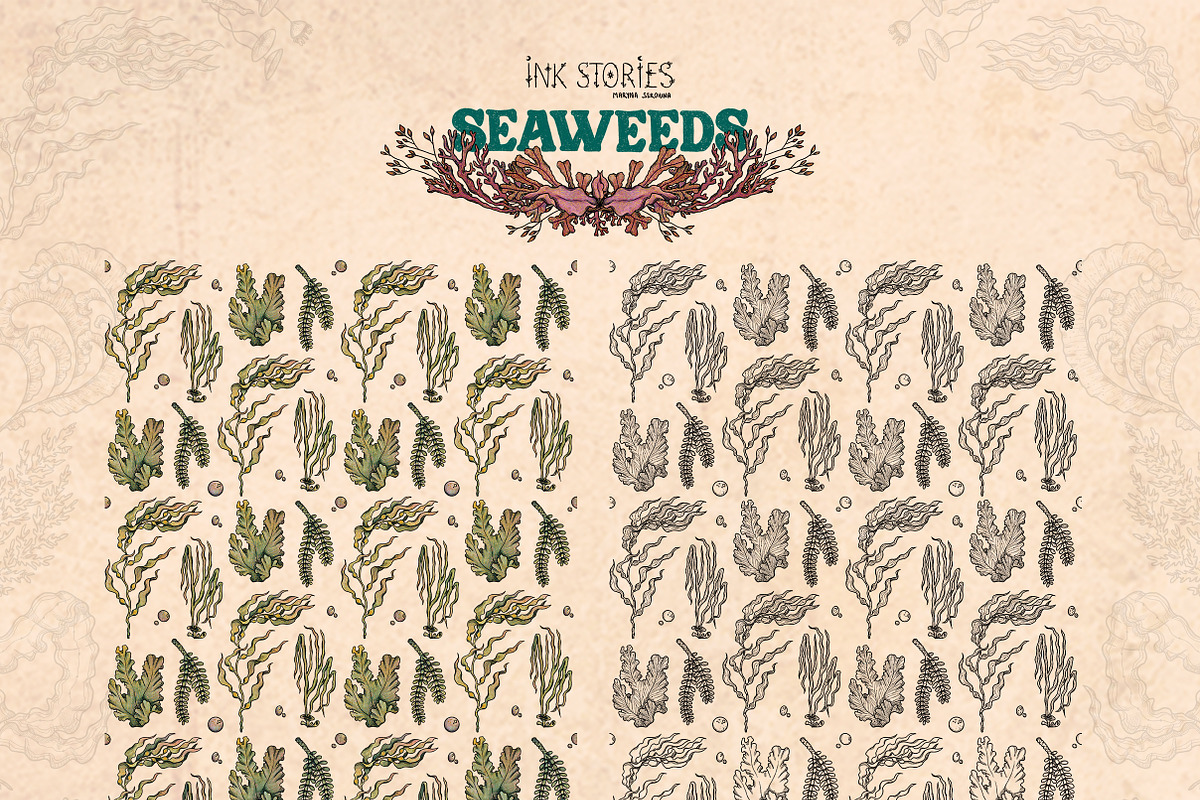 Seaweeds, an Object Illustration by Ink Stories (Photo 21 of 24)