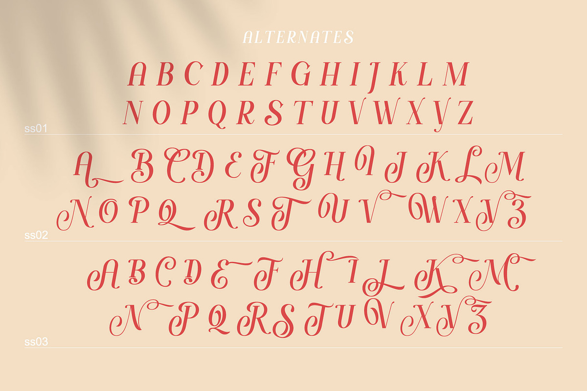 Handy Quomte, a Script Font by alit design (Photo 3 of 18)