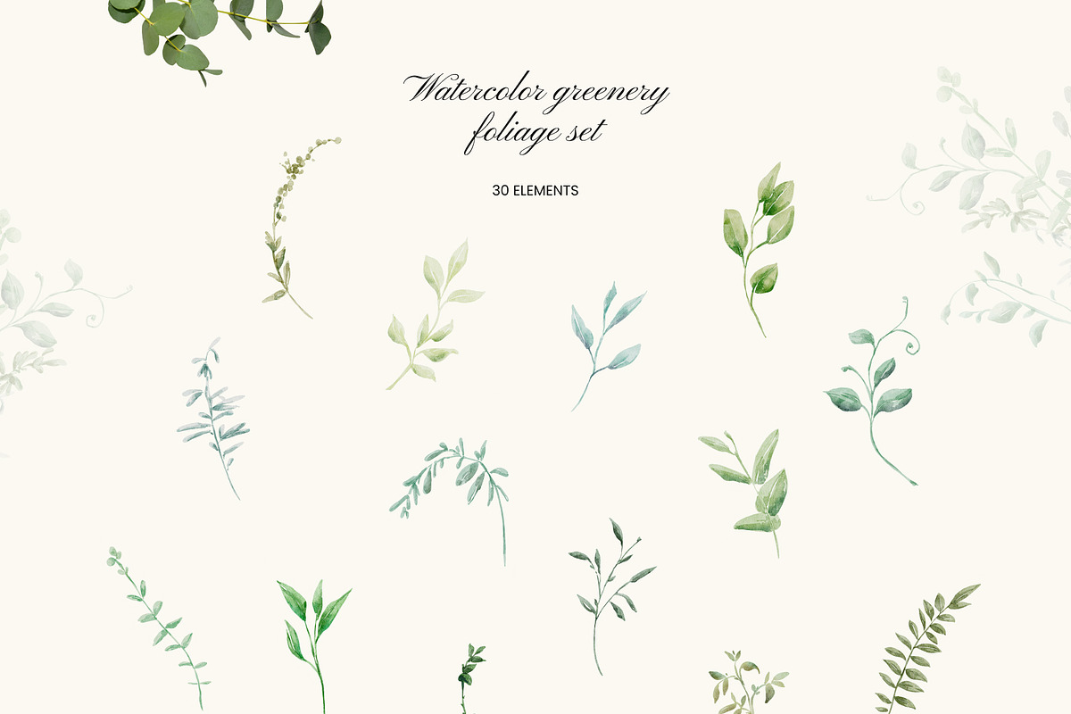 Watercolor Greenery - Foliage Set, a Decorative Illustration by Yuliia Lashevska (Photo 10 of 11)
