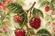Beaded Raspberry Sprig PNG, an Object Graphic by The Edit (Thumbnail 3 of 3)