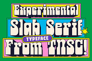 TNSC Burgos - Slab Serif, a Slab Serif Font by The Native Saint Club (Thumbnail 3 of 12)