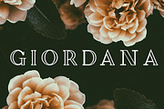 The Elegant Serif Font Bundle, a Serif Font by Zone 6 (Thumbnail 2 of 14)