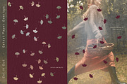Cut It Out - Cutout Paper Overlays, a Texture Graphic by alonahaidash (Thumbnail 9 of 26)