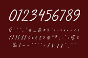 Ceylonite – Stylish Handwriting Font, a Script Font by Pokal Studio (Thumbnail 13 of 16)