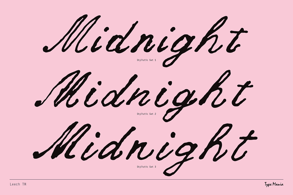Leech TM – Romantic Script, a Script Font by Type Mania (Photo 5 of 10)