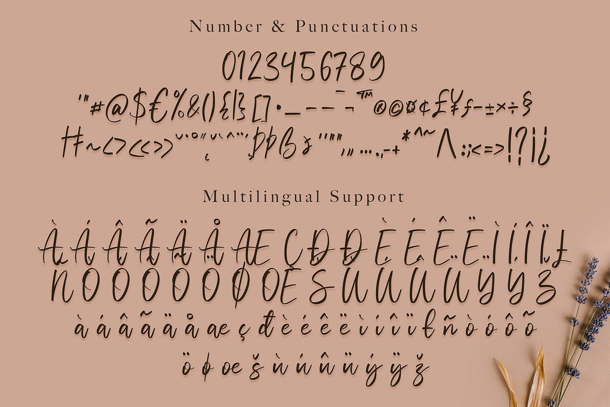 Vivy Aquilla - Handwritten Font, a Script Font by StringLabs (Photo 9 of 10)