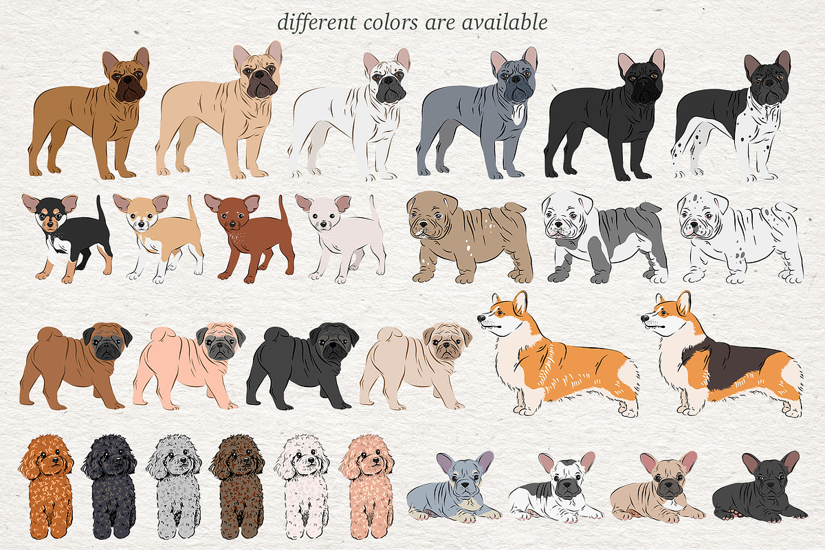 Dog Lover - big collection, an Animal Illustration by Alina Sh (Photo 4 of 10)