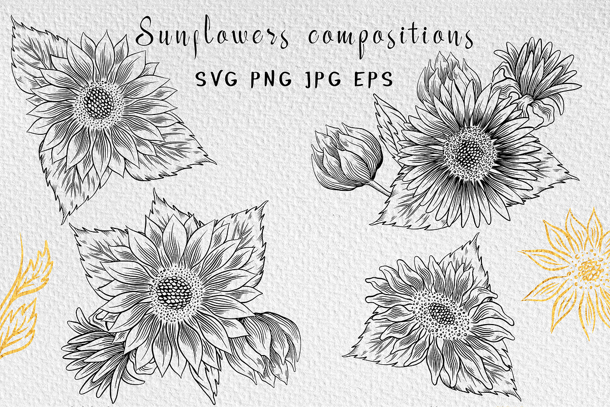Sunflower clipart collection, an Illustration by Gennadi Digital Studio (Photo 3 of 7)