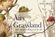 Airy Grassland — Wild Meadow Botanic, an Object Graphic by Aga Silva (Thumbnail 1 of 8)