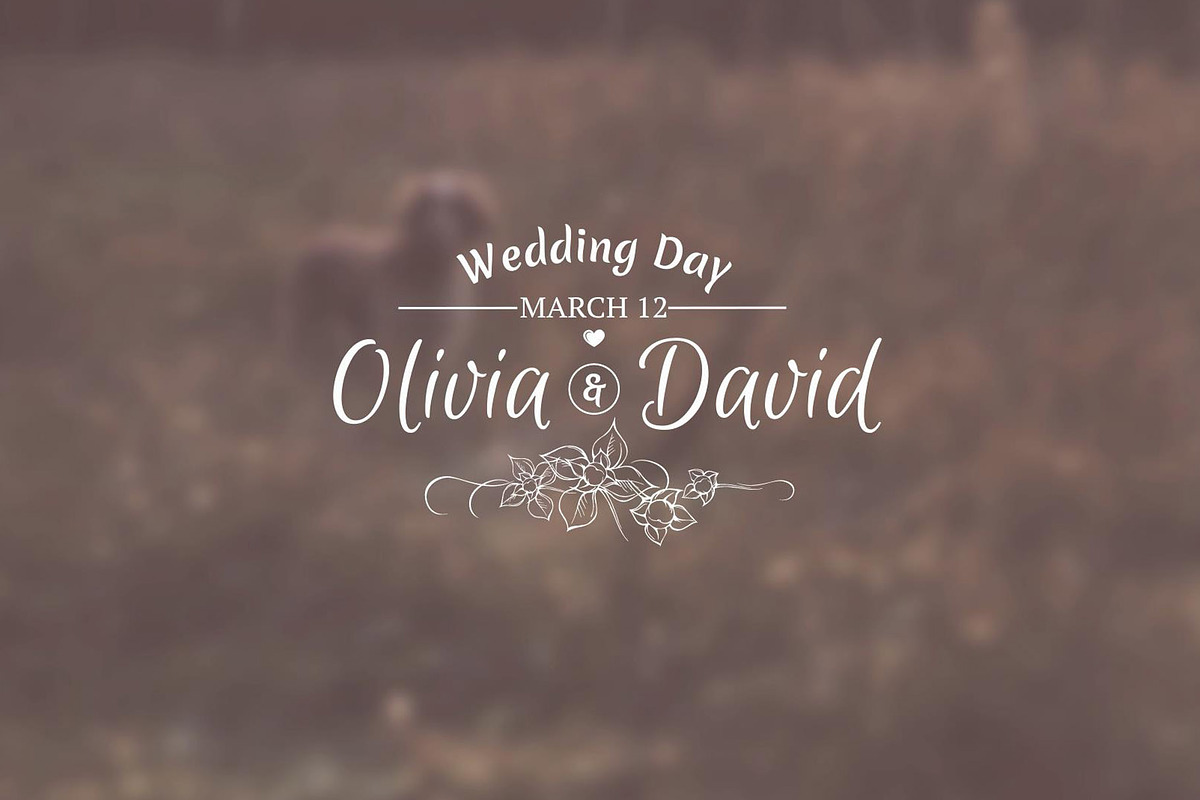Wedding Titles - After Effects, a Templates & Theme by ConceptCafe (Photo 4 of 6)