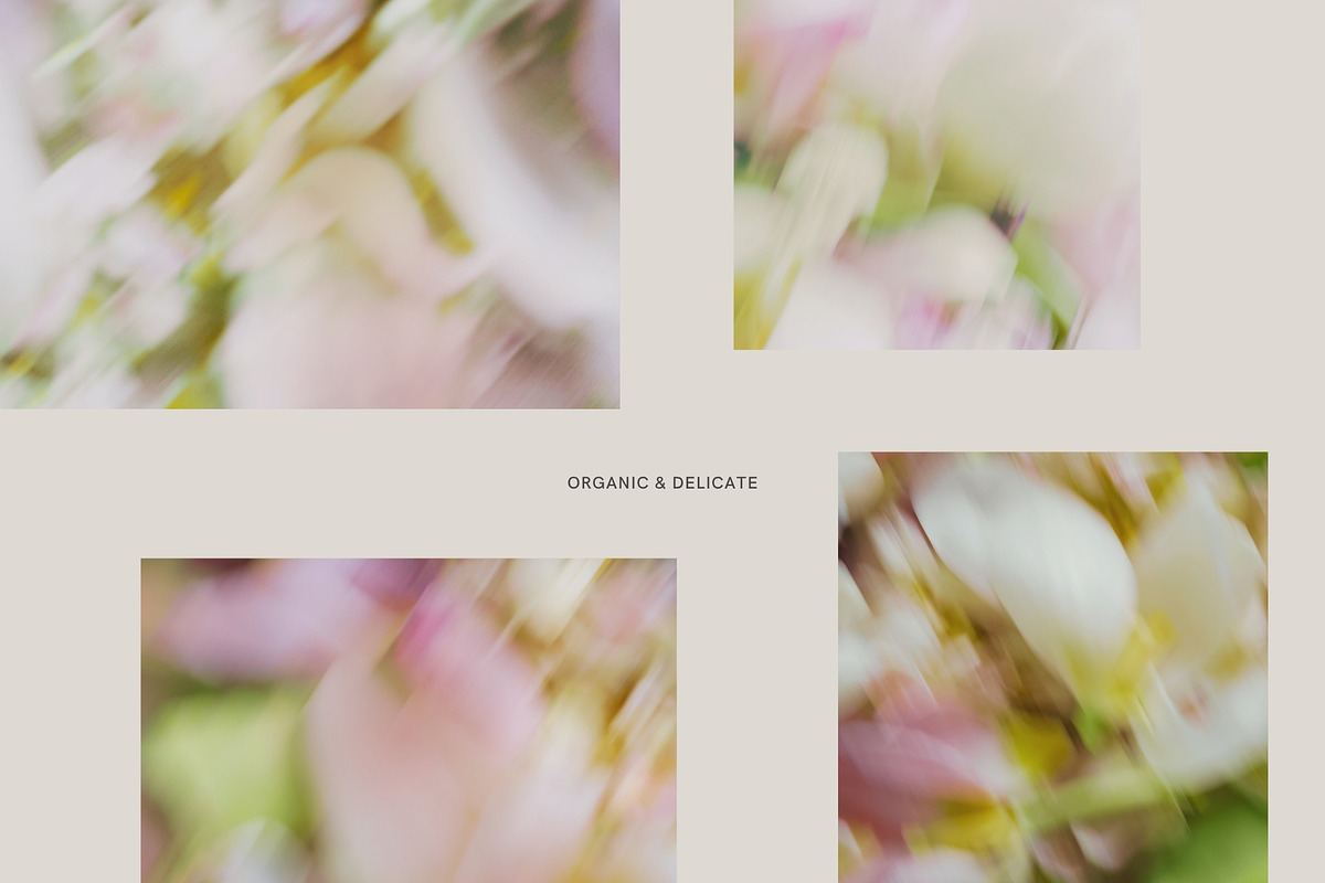 Soft Floral Spring Blur Backgrounds, a Background Graphic by eclosque (Photo 24 of 48)