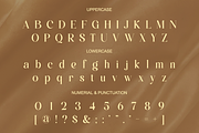 Kealuna - Elegant Luxury Serif Font, a Serif Font by Qweera Studio (Thumbnail 12 of 12)
