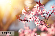 53 Sunflares Photoshop Overlays, a Layer Style Add-On by The Bell Sisters (Thumbnail 6 of 9)