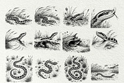 Snake Illustration Set, an Animal Illustration by DENIDigitalArtSudio (Thumbnail 5 of 8)