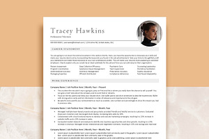 Professional Resume ATS Friendly, a Resume Template by VictoriousVita