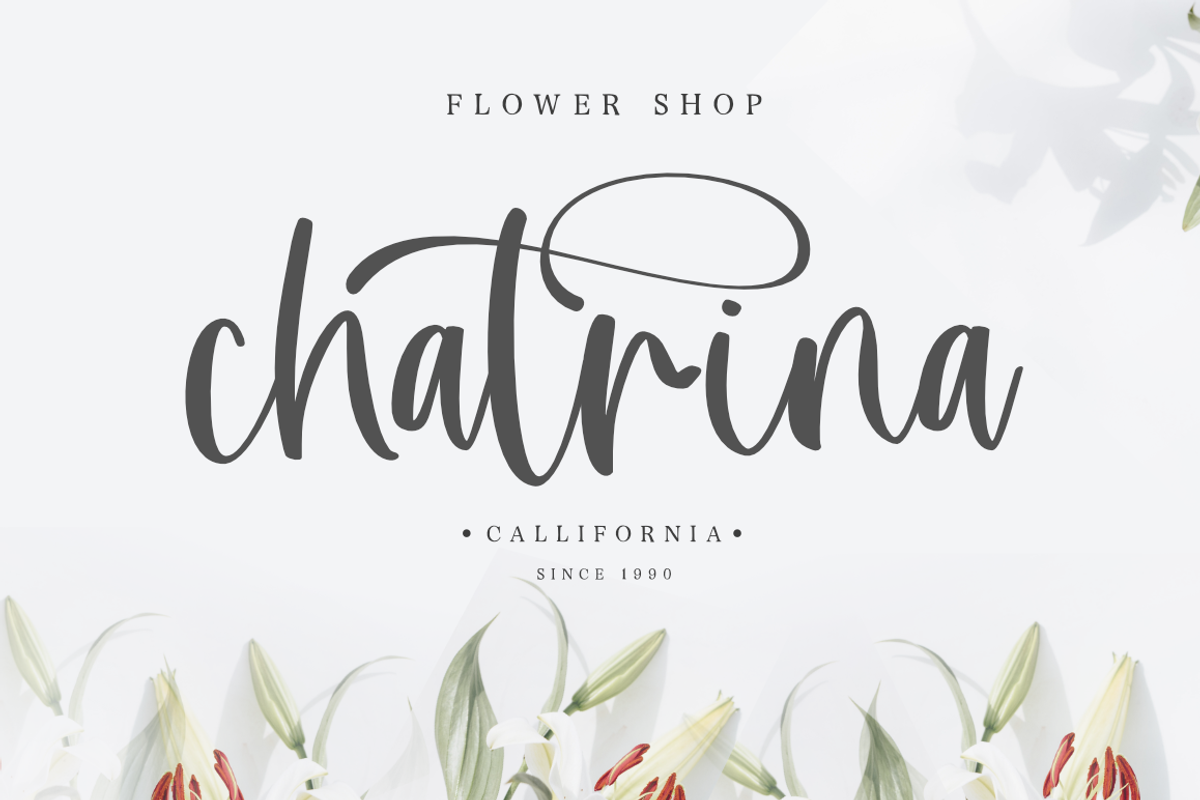 Believe Rosa - Font Duo, a Script Font by Silverdav (Photo 3 of 11)