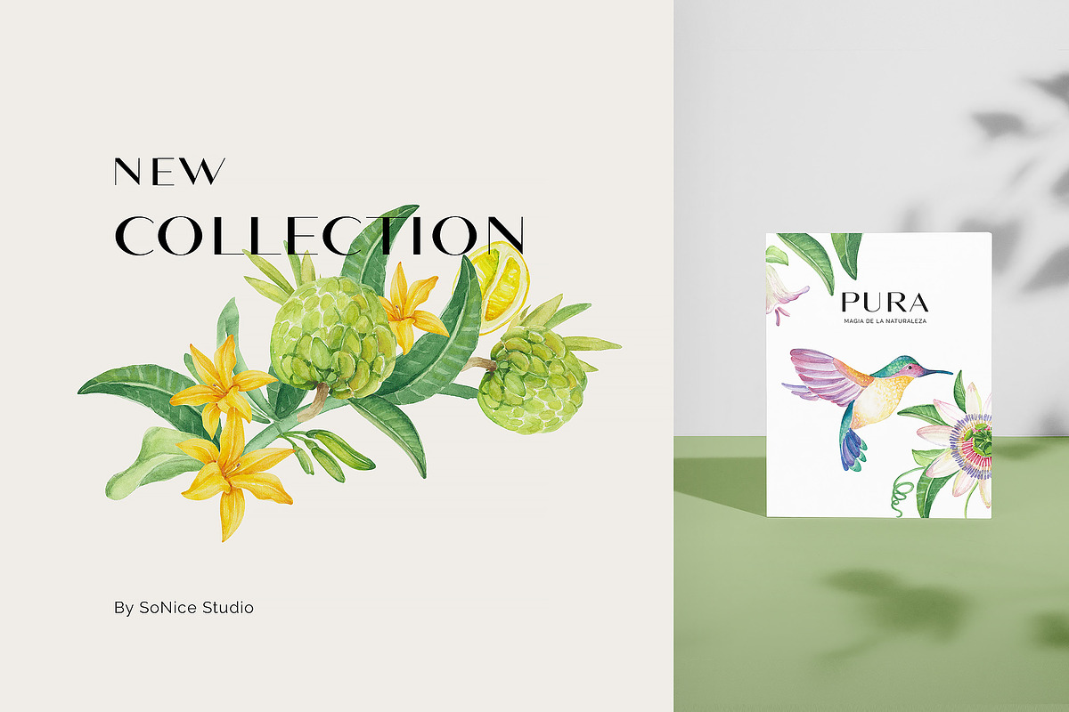 PURA magia de la naturaleza, an Illustration by SoNice (Photo 2 of 12)