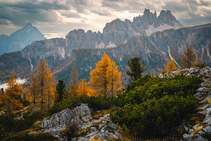 Autumn redwoods and lacy peaks, a Nature Photo by Alpine Dreams