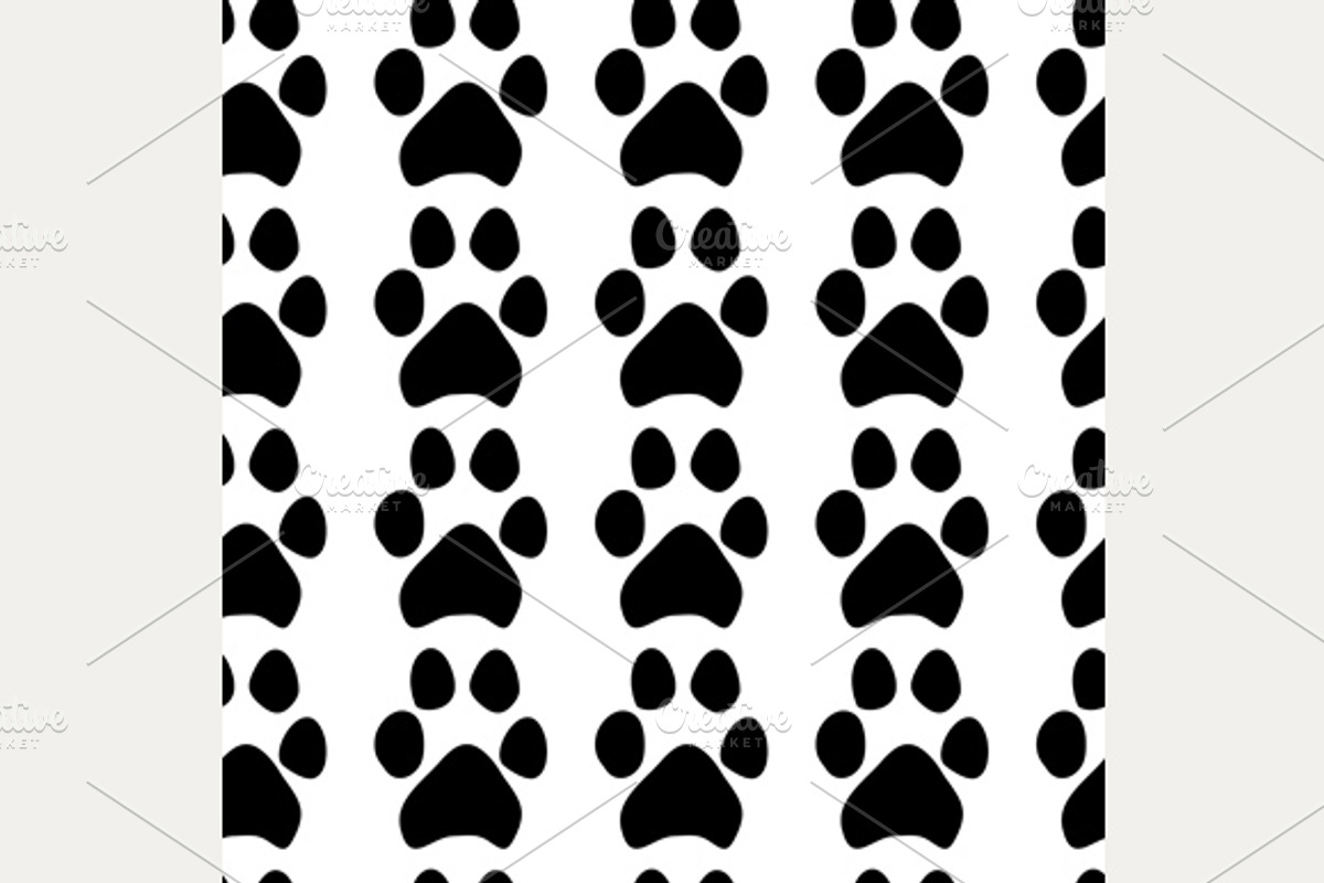 Traces of dogs preview 2