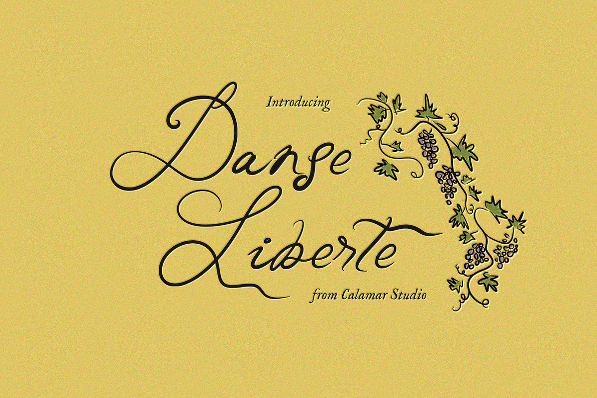 Danse Liberte Handwritten Font, a Script Font by Calamar Studio (Photo 1 of 17)