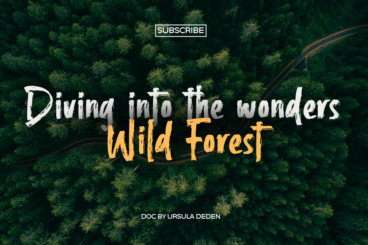 Crustystoned – Brush Font, a Handwritten Font by Fikryal Studio (Photo 10 of 15)