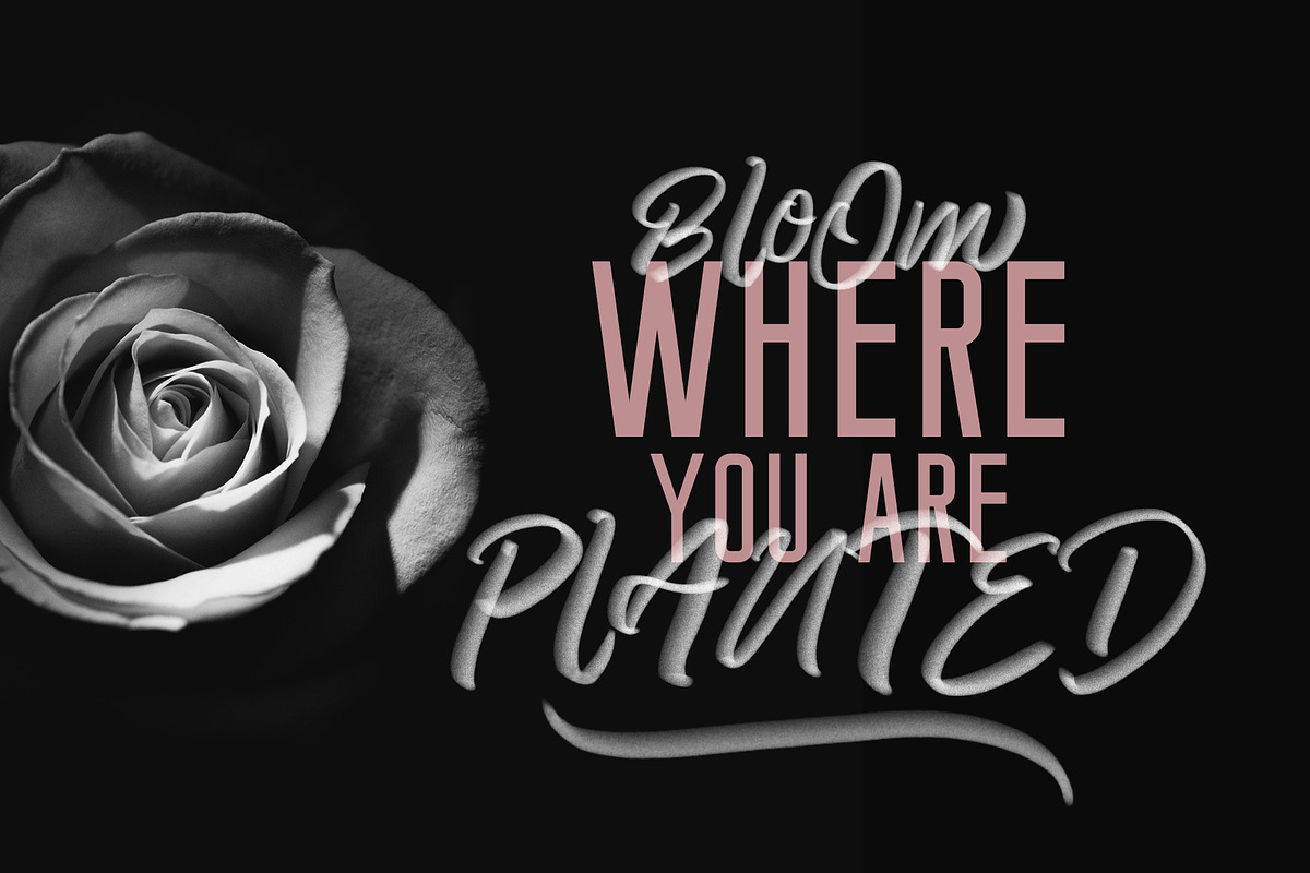Pattaya SVG & Script Regular preview 8